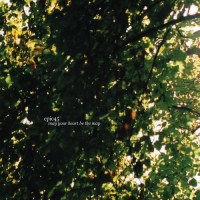 epic45_may_your_heart_be_the_map