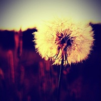 jr_alexander_moments