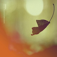 thoola_bed_of_fallen_autumn_leaves