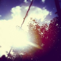 caught_in_the_wake_forever_cadder_falls