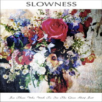 slowness_for_those_who_see_the_glass