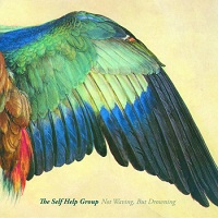 the_self_help_group_not_waving_but_drowning