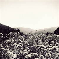 chihei_hatakeyama_the_bull_head_emperor