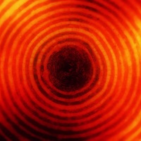 firetail_learning_to_cheat