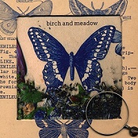 birch_and_meadow_butterflies_and_graves
