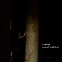 teamforest_monolyth_cobalt