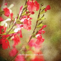 ex_confusion_with_love