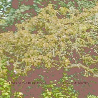 tides_of_blue_moon_leaves_alighted