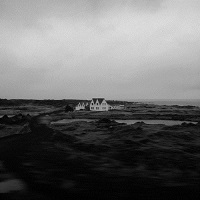 feral_and_stray_between_you_and_the_sea