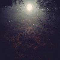 david_andree_josh_mason_call_response