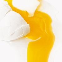 machinefabriek_attention_the_doors_are_closing