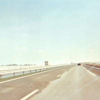 butterfly_in_the_snowfall