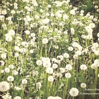 federico_durand_el_estanque_esmeralda