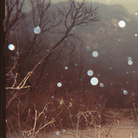 the_weary_band_serenity_mountain