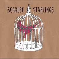 scarlet_starlings
