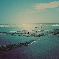 the_silence_was_warm_vol_5