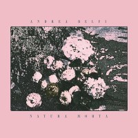 andrea_belfi_natura_morta