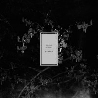 islands_of_light_ruebke