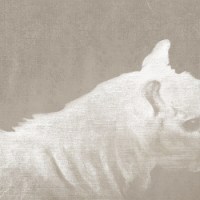 piiptsjilling_moarntiids