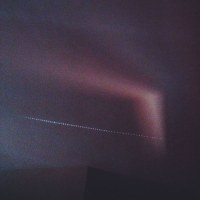 siavash_amini_what_wind_whispered_to_the_trees