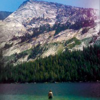 bracken_exist_resist