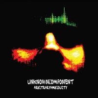 unknown_component_arbitrary_ambiguity