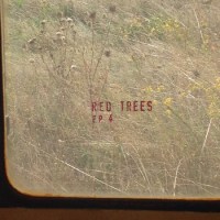 red_trees_ep_4