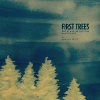 homemade_empire_first_trees