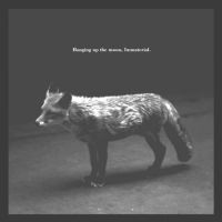 hanging_up_the_moon_immaterial