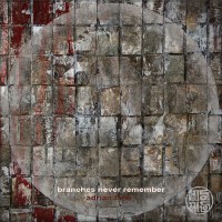 adrian_lane_branches_never_remember