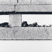 chihei_hatakeyama_moon_light_reflecting_over_mountains