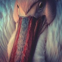 konntinent_the_empire_line