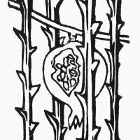 my_home_sinking_sleet