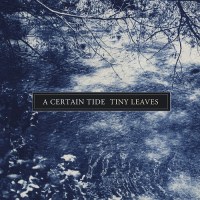 tiny_leaves_a_certain_tide