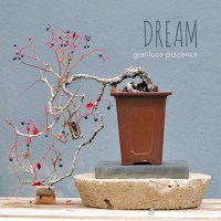 gianluca_piacenza_dream