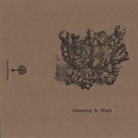 drowning_in_wood