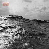 seabuckthorn_they_haunted_most_thickly