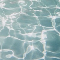 what_does_the_scanner_see