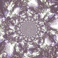 zach_zeller_and_the_crooked_timbers