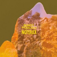 benoit_pioulard_noyaux