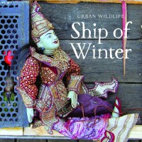 urban_wildlife_ship_of_winter