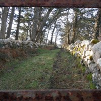 good_shepherd_her_darke_aspects