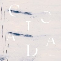 cicada_ocean