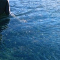 sketches_for_albinos_all_in_the_name_of_gravity