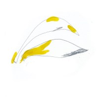 richard_ginns_a_beautiful_memory_shaped_in_the_stars