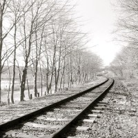 les_etoiles_alight_alight