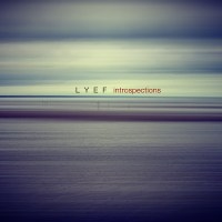 lyef_introspections