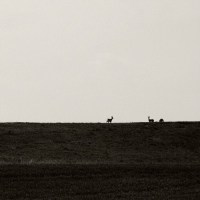 giulio_aldinucci_goccia