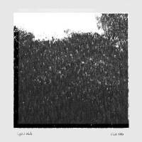 light_of_woods_field_notes