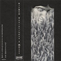 ojerum_variationer_i_morke